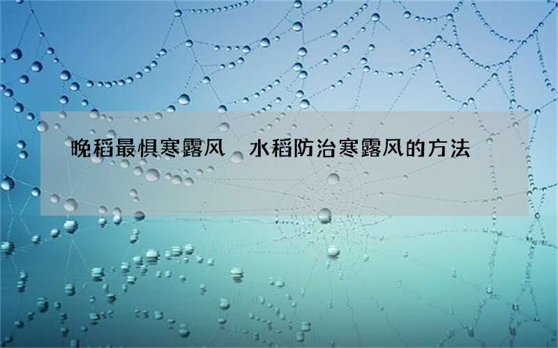 晚稻最惧寒露风 水稻防治寒露风的方法